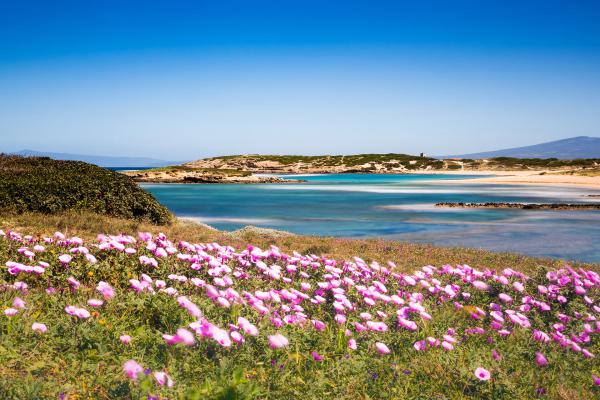 foto paesaggi coste sardegna silvia cabella fotografa 17