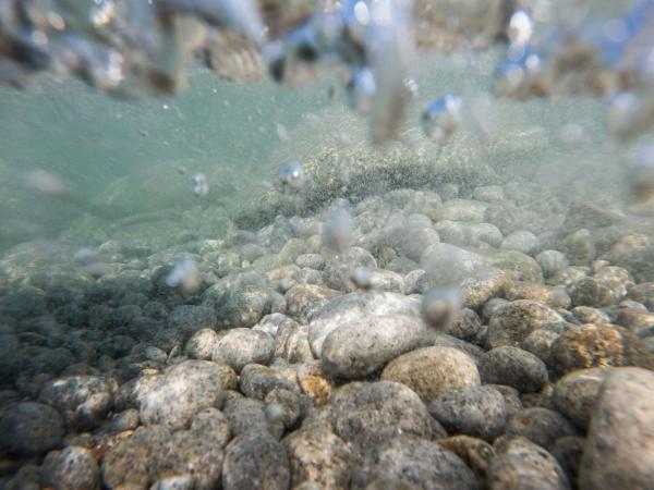 progetto mediterranea isola mal di ventre sardegna silvia cabella fotografa 04