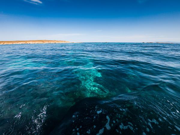 progetto mediterranea isola mal di ventre sardegna silvia cabella fotografa 07