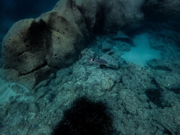 progetto mediterranea isola mal di ventre sardegna silvia cabella fotografa 17