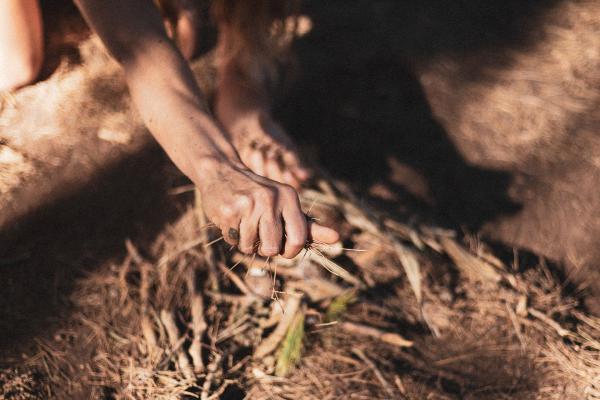 progetto wildwood sardegna silvia cabella fotografa 10